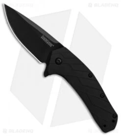 Kershaw Flock Assisted Opening Knife Black GFN (2.8" Black) 1330