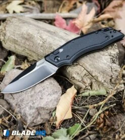Kershaw Induction Folding Knife Black GFN (3.125" Two-Tone) 1905 11 Kershaw Induction Folding Knife Black GFN (3.125" Two-Tone) 1905 -Blade HQ Kershaw Induction Folding Knife Black GFN Two Tone 1905 BHQ 34432 kp woods web