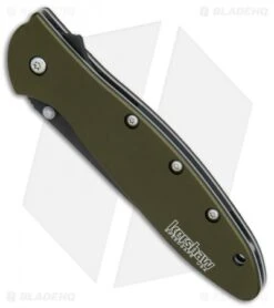 Kershaw Leek Assisted Opening Knife OD Green (3" Black ) 1660OLBLK -Blade HQ Kershaw Leek OD Green black BHQ 79637 er spine