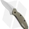 Kershaw Scallion Assisted Opening Knife Olive Green (2.25" Bead Blast) 1620OL