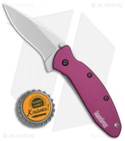 Kershaw Scallion Assisted Opening Knife Purple (2.25" Bead Blast) 1620PUR 7 Kershaw Scallion Assisted Opening Knife Purple (2.25" Bead Blast) 1620PUR -Blade HQ Kershaw Scallion purple bb BHQ 14804 er bottlecap