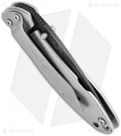 Kershaw Scallion Assisted Opening Knife (2.25" Damascus) 1620DAM -Blade HQ kershaw 1620dam scallion damascu plain side