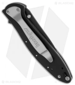 Kershaw Leek Assisted Opening Knife Spider Overlay (3" Black) 1660SPCKT -Blade HQ kershaw 1660spckt leek spider overlay folder side