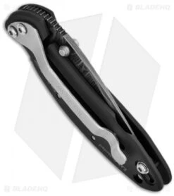 Kershaw Chive Assisted Opening Knife Black (1.94" Damascus) 1600DAMBK -Blade HQ kershaw black damascus plain 1600damckt chive side